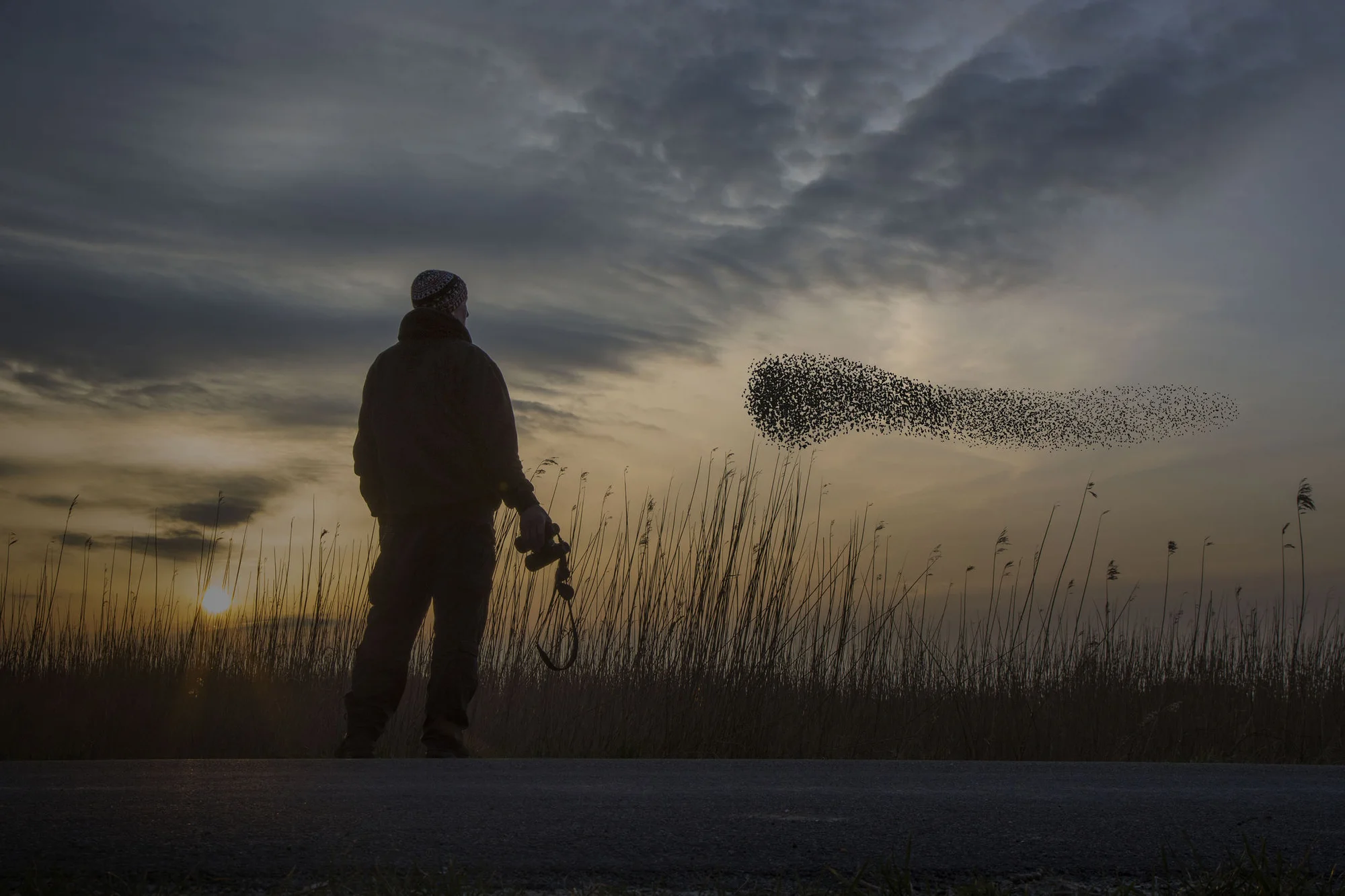 https://kacca.af/wp-content/uploads/2024/08/ey-man-watching-a-flock-of-birds.webp